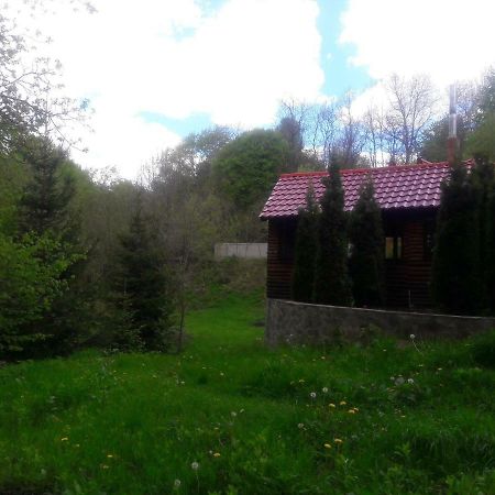 Casa Daos Ξενοδοχείο Nucşoara Εξωτερικό φωτογραφία