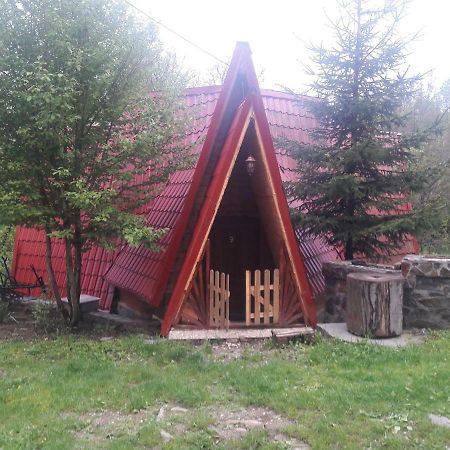 Casa Daos Ξενοδοχείο Nucşoara Εξωτερικό φωτογραφία