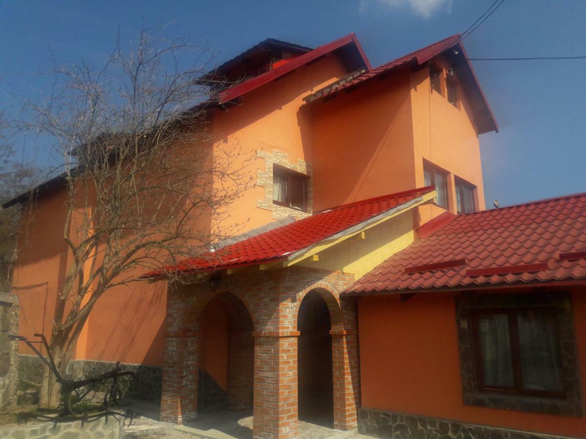 Casa Daos Ξενοδοχείο Nucşoara Εξωτερικό φωτογραφία