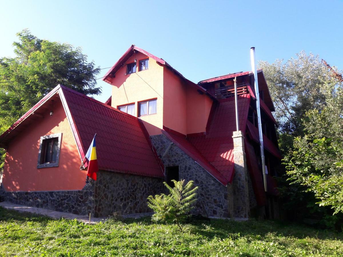 Casa Daos Ξενοδοχείο Nucşoara Εξωτερικό φωτογραφία